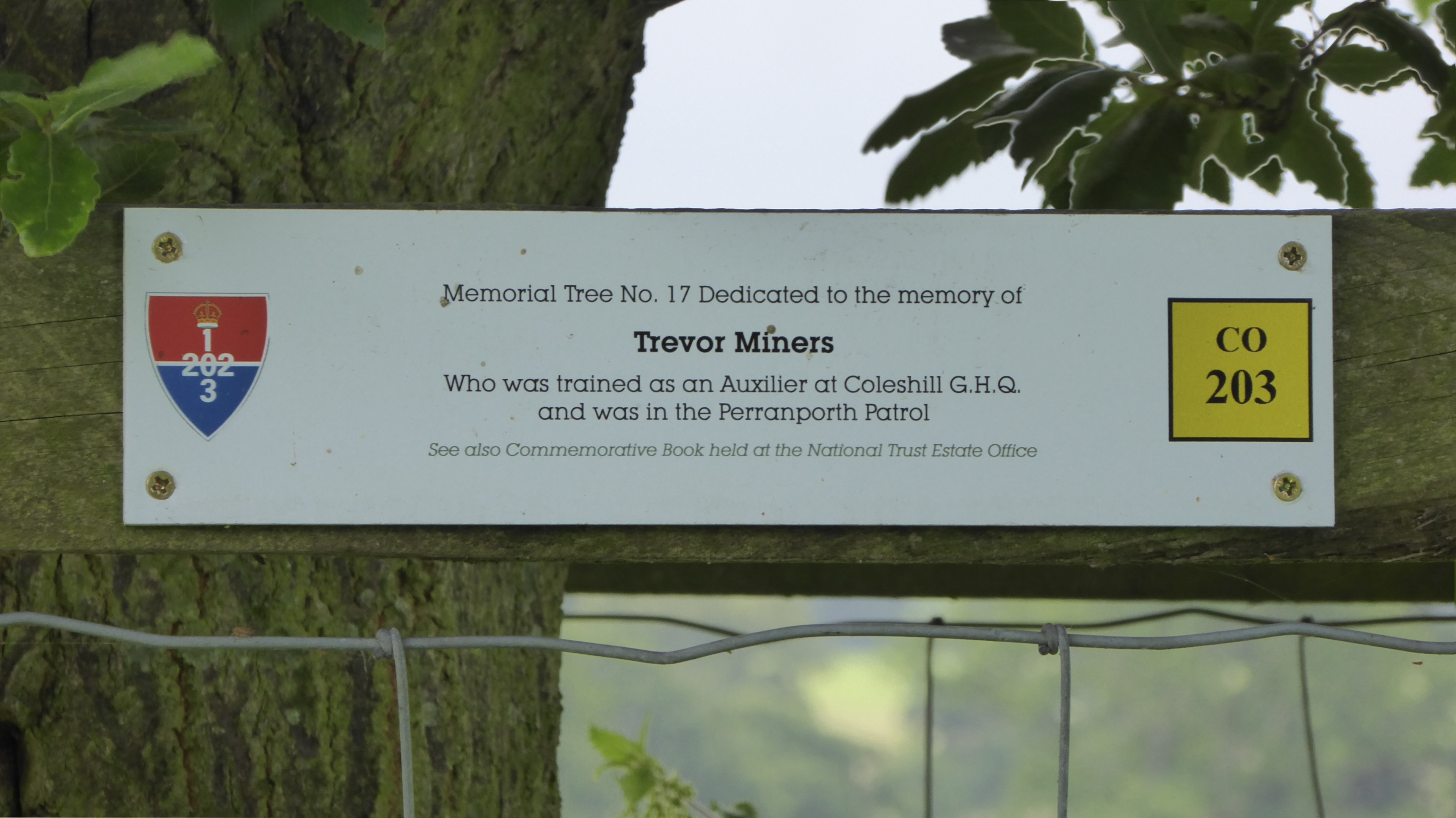 Trevor Miners Memorial Tree