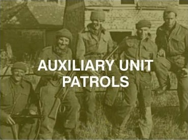 auxiliary units